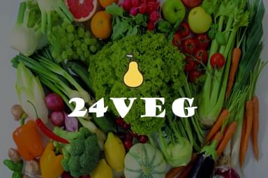 Сайт Вегетареанский интернет-магазин «24VEG»
