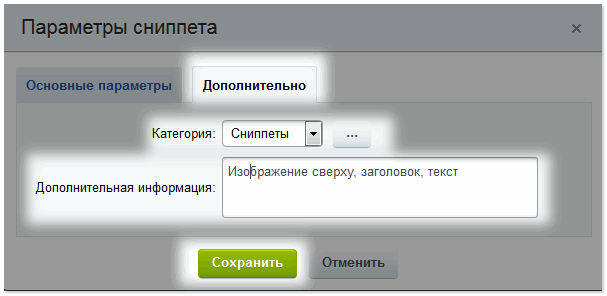 Дополнительные параметры сниппета.png